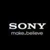 sony playstation voice over